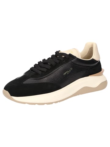 Sioux Sneaker Apollo-D-001 in schwarz