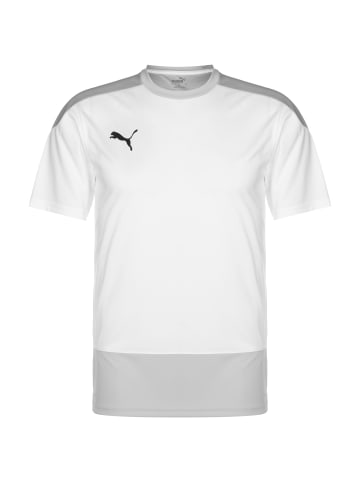 Puma Trainingsshirt teamGoal 23 in weiß / hellgrau