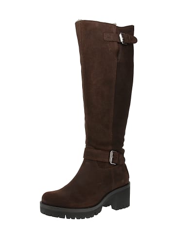 PANAMA JACK Winterstiefel Phaedra in Braun