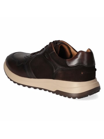 Tamaris Schnürhalbschuh in brown