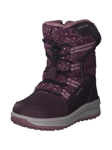 Geox Stiefeletten in VIOLET/PINK