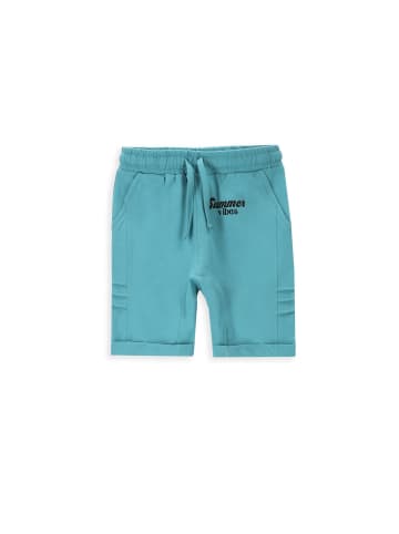 Coccodrillo Kurze Hose in blau