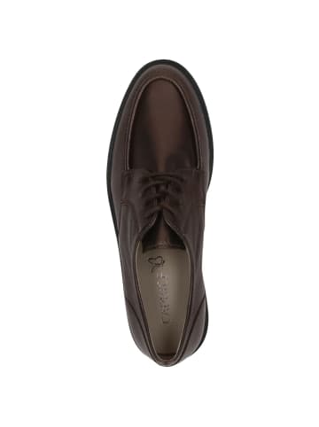 Caprice Halbschuh in DK BROWN MET