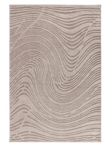 Teppich Boss Kurzflor Teppich Alwin 225 Beige - Beige