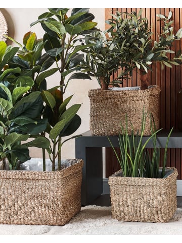 Beliani 3-tlg Indoor Blumentopf RIVULINE in Braun