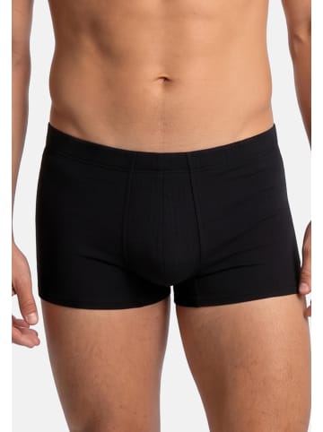 SPEIDEL Retro Short / Pant Classic in Schwarz