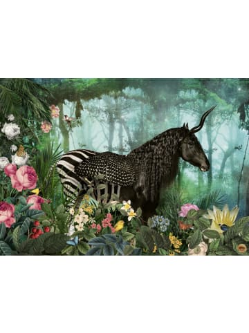 HEYE Equpidae Puzzle | 1000 Teile