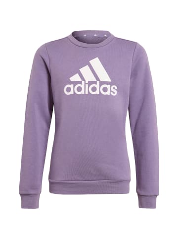 Adidas Sportswear Sweatshirt in shadow violet-clear pink