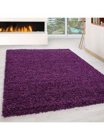 KADIMA DESIGN Teppich Hochflor Unifarben Polypropylen Wohnzimmer Shaggy in Violett