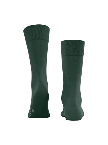 Falke Socken 2er Pack in Grün