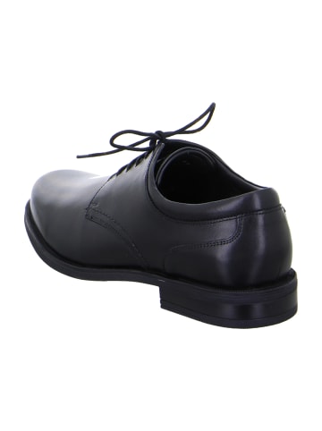 ara Business Schnürschuhe in Schwarz