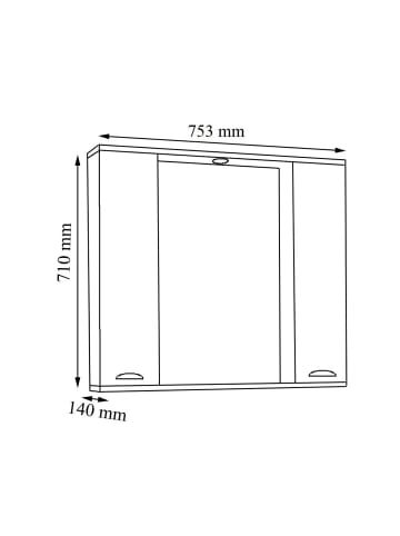 ebuy24 Spiegelschrank CasaloXL Weiß 60 x 14 cm
