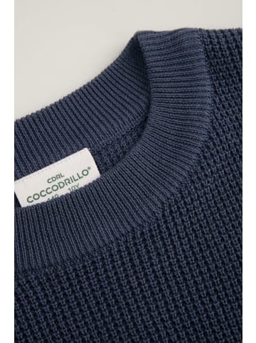 Coccodrillo Strickpullover in blau