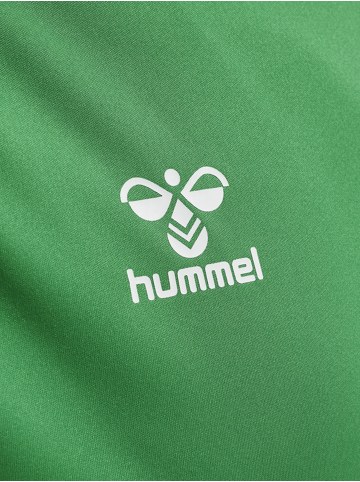 Hummel Hummel T-Shirt Hmlcore Multisport Erwachsene Schnelltrocknend in JELLY BEAN