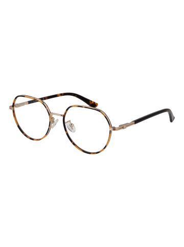 Guess Damen Optische Fassungen Panto Braun