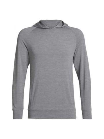 icebreaker Hoodie Sweat Momentum in Grau