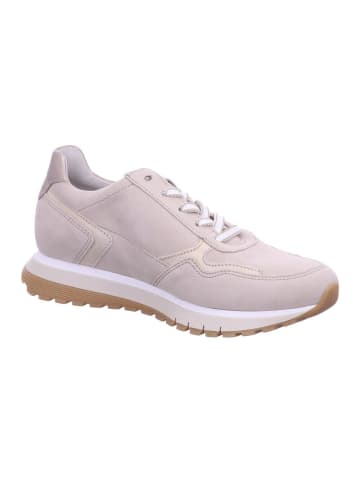 Gabor Lowtop Sneaker Gabor Lowtop Sneaker in oak/puder