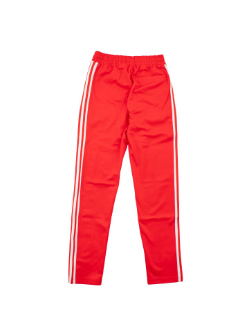 adidas Trainingshose Fcb Og Bb Track Pant FC Bayern in Rot
