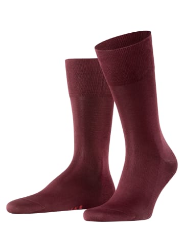 Falke Socken Tiago in Barolo