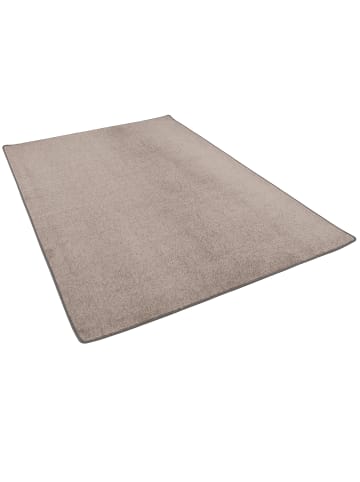 Snapstyle Velours-Teppich Joy in taupe
