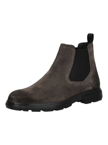 Geox Stiefelette in Mud