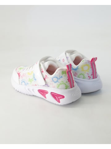 Geox Klettschuhe in Weiß