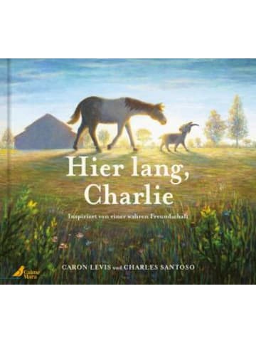 CalmeMara Verlag Buch - Hier lang, Charlie