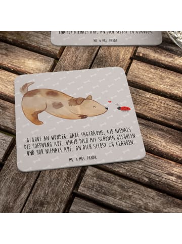 Mr. & Mrs. Panda Bierdeckel Hund Marienkäfer mit Spruch in Grau Pastell