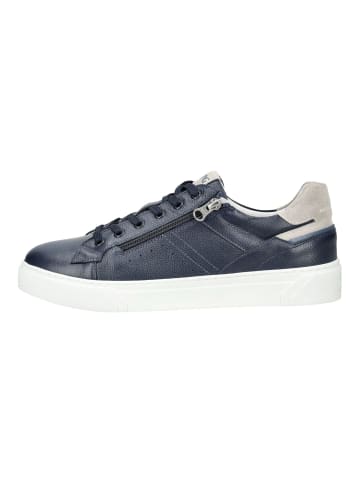Nero Giardini Sneaker in Blau