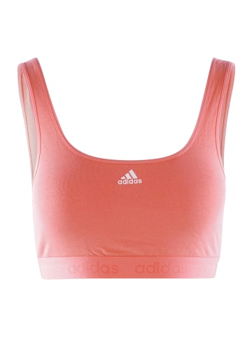 adidas Bustier CROP BRA in koralle