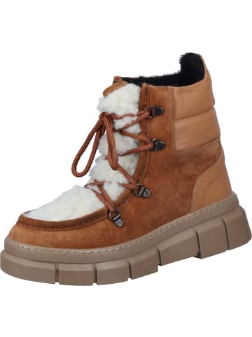 Piazza Winterstiefeletten, Freizeit Stiefeletten in tabak