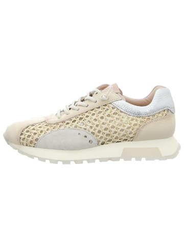 Hispanitas Sneaker Low in beige