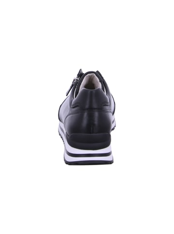 Gabor Comfort Sneaker  in Schwarz