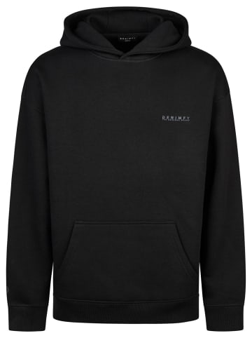 DENIMFY Sweatshirt DFMaxim in Schwarz