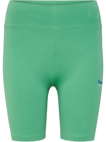 Hummel Enge Shorts Hmllgc Cameron Short Tights in GREEN SPRUCE