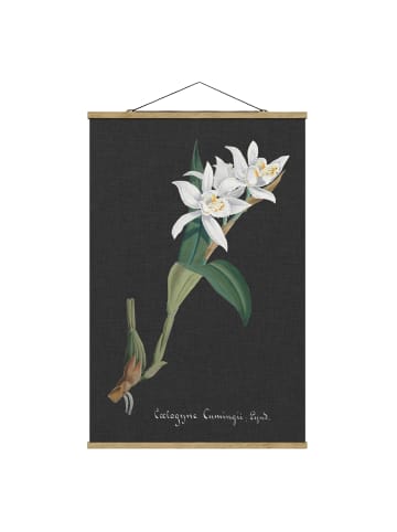 WALLART Stoffbild mit Posterleisten - Weiße Orchidee auf Leinen II in Schwarz