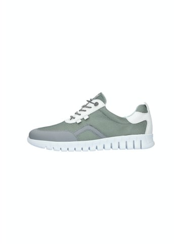 WALDLÄUFER Sneaker für Herren in Oliv