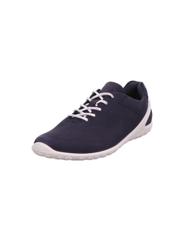 Ecco Schnürschuh in blau