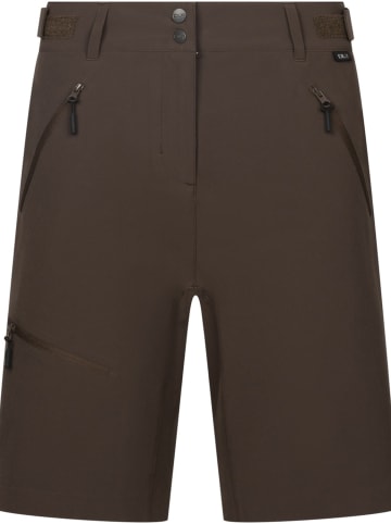 DLX Short "Jocelyn Shorts" in Braun