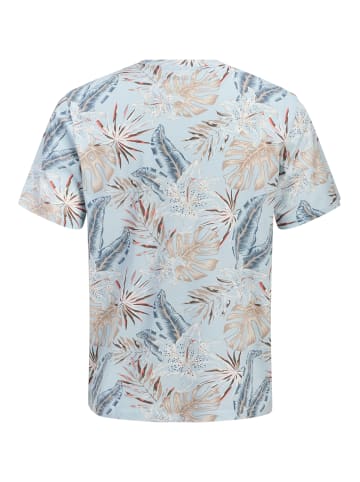 JACK & JONES Junior T-Shirt Baumwolle Jjhonolulu in celestial blue