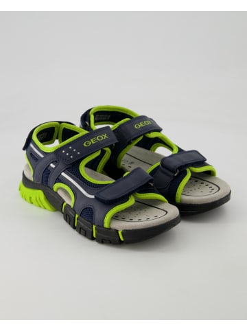 Geox Sandalen in Blau