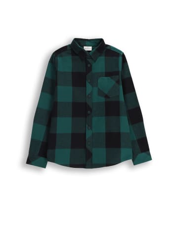 Coccodrillo Baumwollhemd mit langen Ärmeln in grün