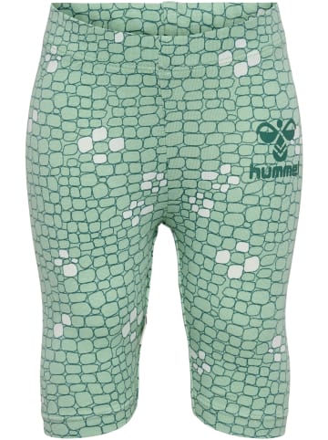 Hummel Hummel 3/4 Leggings Hmlzanzi Mädchen in SILT GREEN