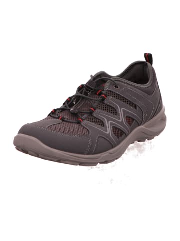 Ecco Sneaker in grau