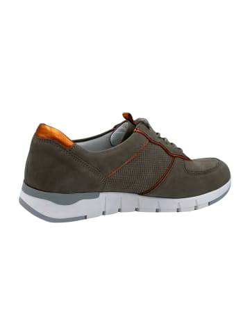 WALDLÄUFER Komfort Schnürschuhe in Beige