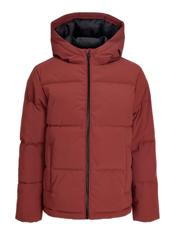 JACK & JONES Junior Winterjacke Pufferjacke Steppjacke Jjgalaxy in fired brick