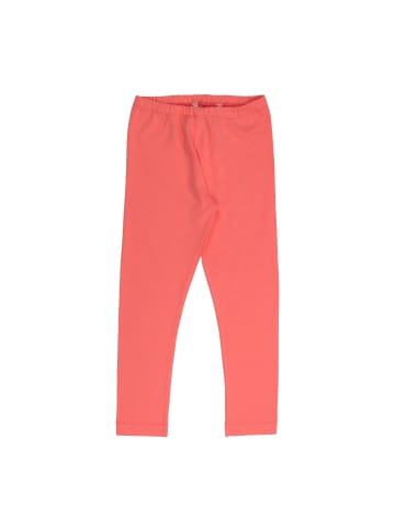 Walkiddy Leggings Bright Pink 05-Leggings