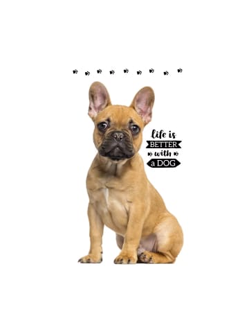 Wisam® Hund Friend Hand- und Gesichtstuch, Handtuch 30x50cm