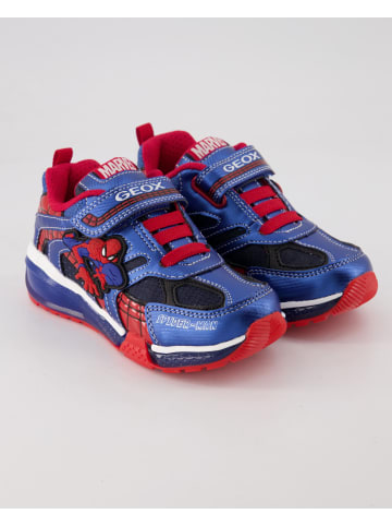 Geox Sneaker in Blau