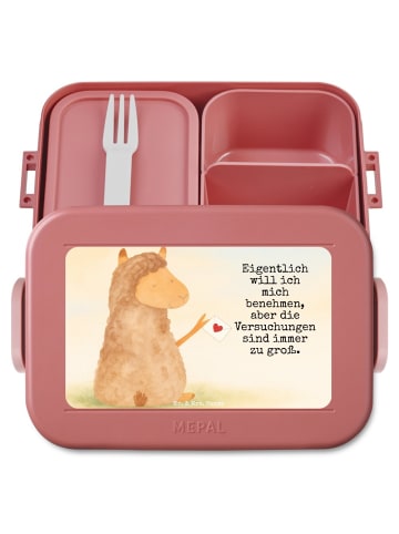 Mr. & Mrs. Panda Bentobox Alpaka Fahne Design mit Spruch in Rot Pastell